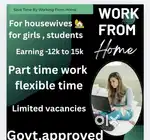 Work from home  for housewives students and job person also