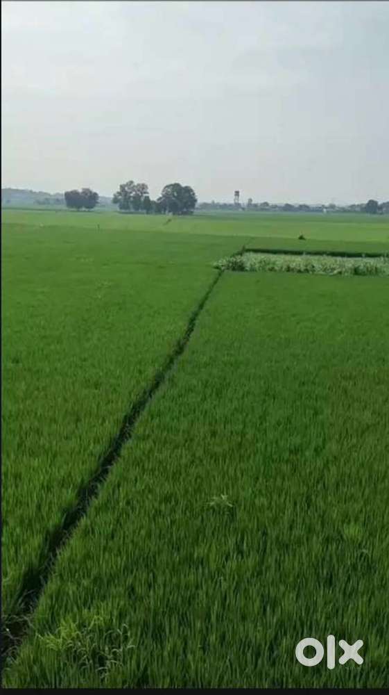 Plots for sale 4.5 lac nu biswa