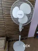 New Crompton pedestal fan high speed good working condition