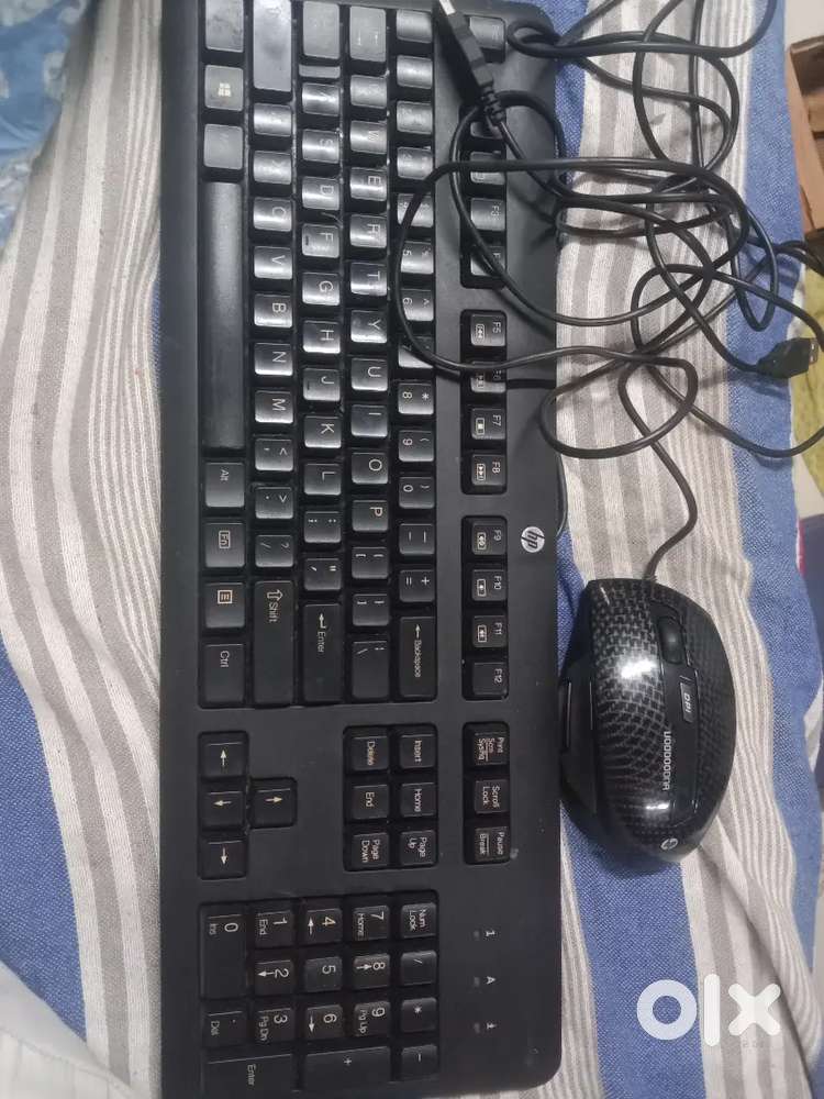 Keyboard and mouse