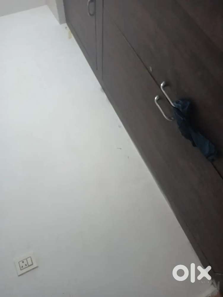 1 bhk for bachelor