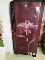 LG Fridge Single Door