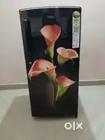 Refrigerator haier 2024 model