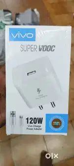 Mobile charger
