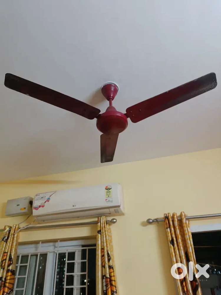 Ceiling Fan in good condition