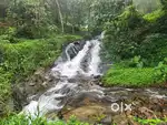 70 CENT LAND FOR SALE WITH BEAUTIFUL VIEW@WAYANAD -MYSORE RD