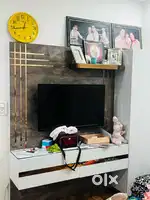 1 bedroom cum hall furnished in sector 13 ground floor