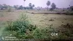 35000sqft फार्म हाउस  बेचना है ग्राम बोरदा कोलार रोड भोपाल