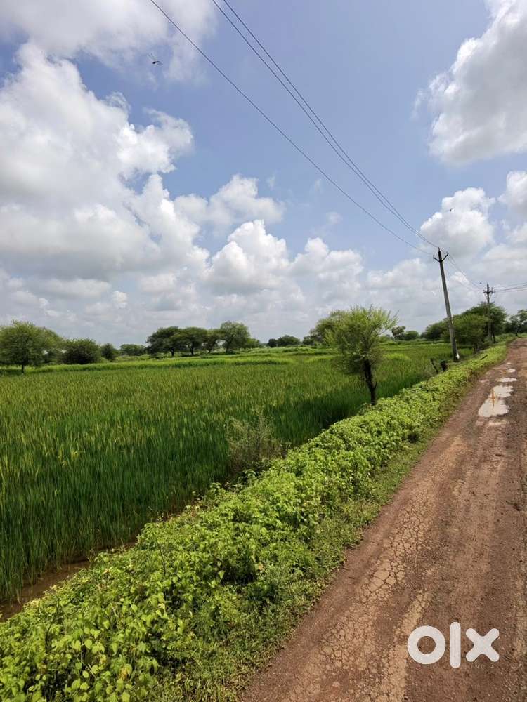 1.85 acr Bakal  रेलवे स्टेशन के पास Rajnandgao kheti zameen