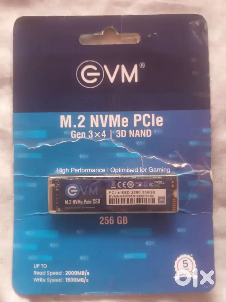 EVM 256GB M.2 NVME SSD