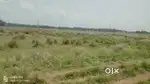 Urgent sale gharabari pata