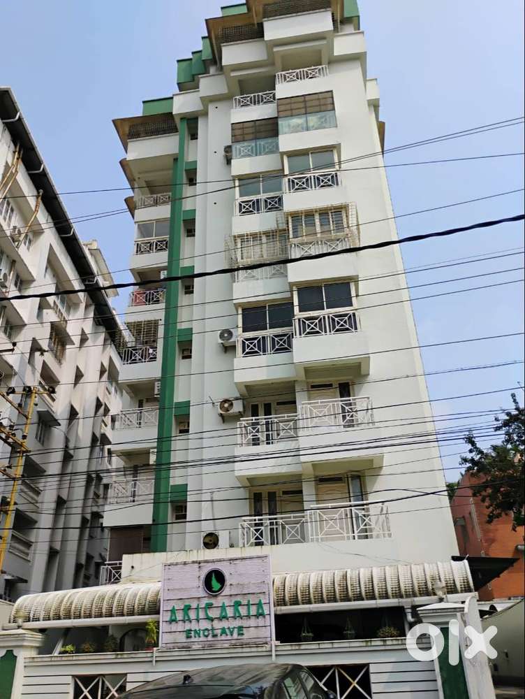 2 bhk rental Apt at Punkunnam