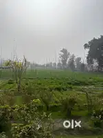 Agricultural land for sale