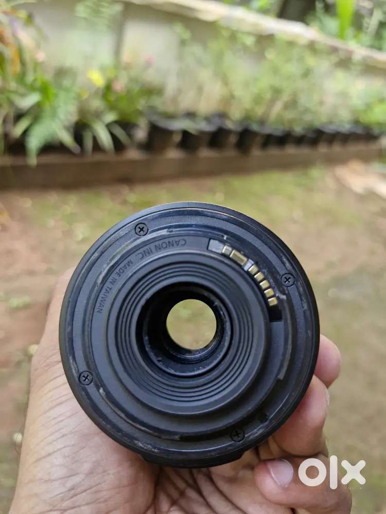 Canon 55 250 lense