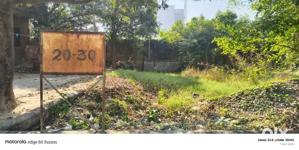 Paradice colony plot for sell