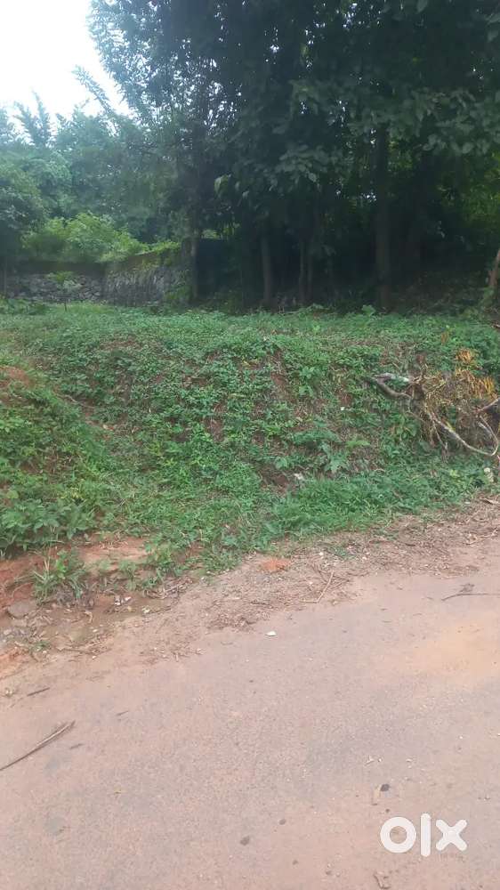 13 cent house plot near PK Das hospital.    Can use flat/house
