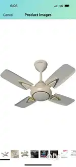 Ceiling fan