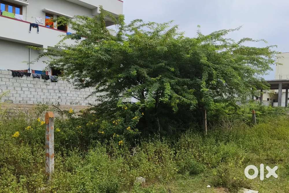 South Facing 160 sq.yds Open plot for sale.