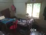 Boys roommate required