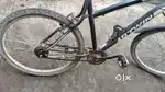 Rockrider³⁴⁰