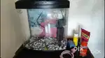 Fish tank 30L