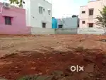 4.50, cent west Thoppampatti near,11.5Lakhs.