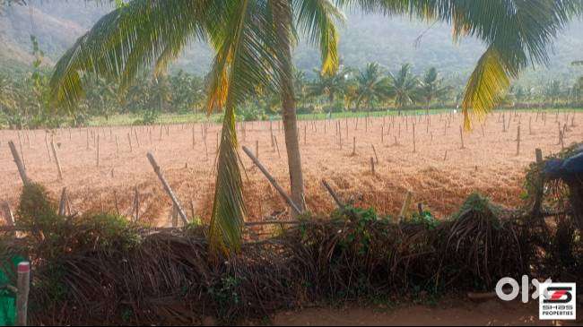 Farmland for sale near Kollengode, Palakkad