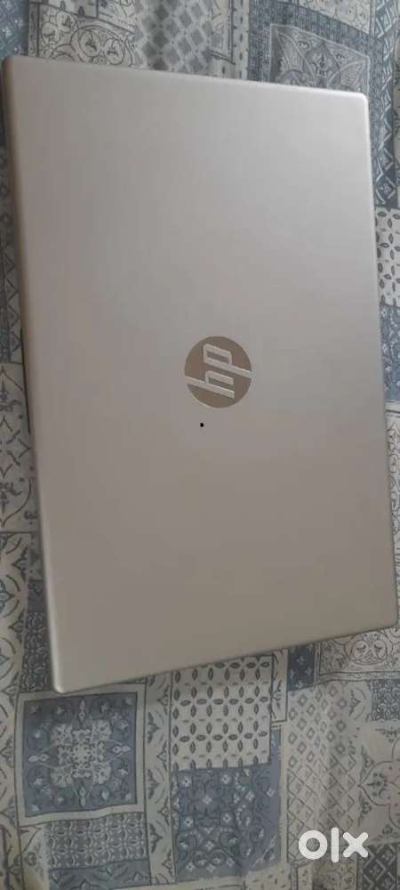 so you are born and brought in Nagpur only?