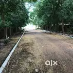 Plot for sale in shri ram enclave 110 Square yard