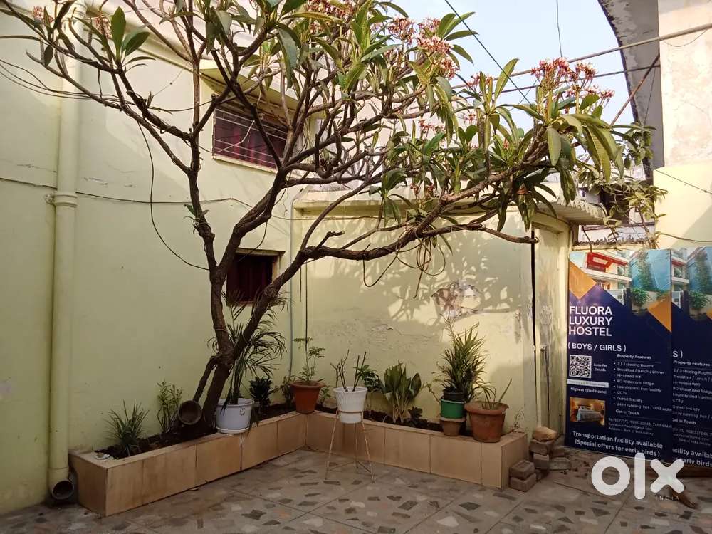 Fluora Luxury Hostel