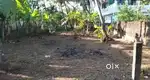 Thrissur Anchery Nehru nagar  near 7.4 cent Residential land