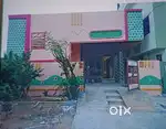Individual house