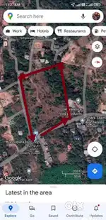 6.5 acres near Dharamshala, Kannur