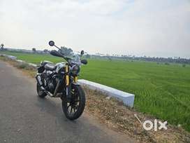 Truimph scrambler 400x 2024 green