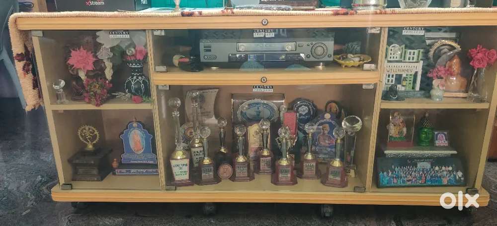 Elegant Wooden Cabinet in Excellent Condition