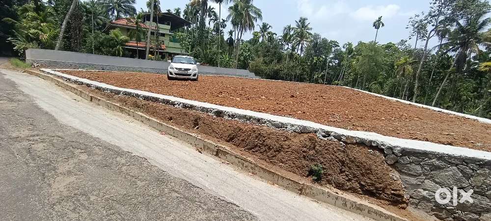 Angamaly NH 1km 5, 8, 10  cent plot angamaly municipality
