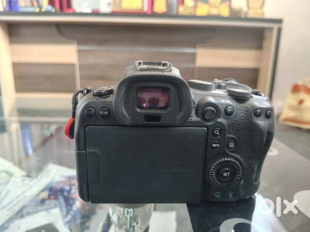 CANON R6 with Bill (Light use)