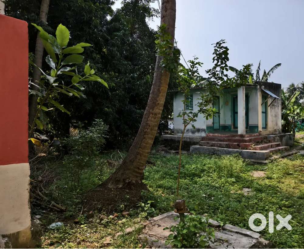 202 square yards Land with single bed room house