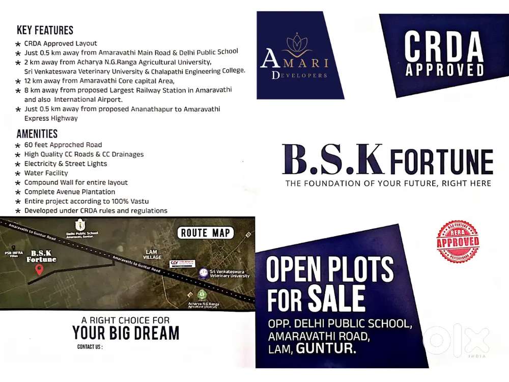 Amari developers
