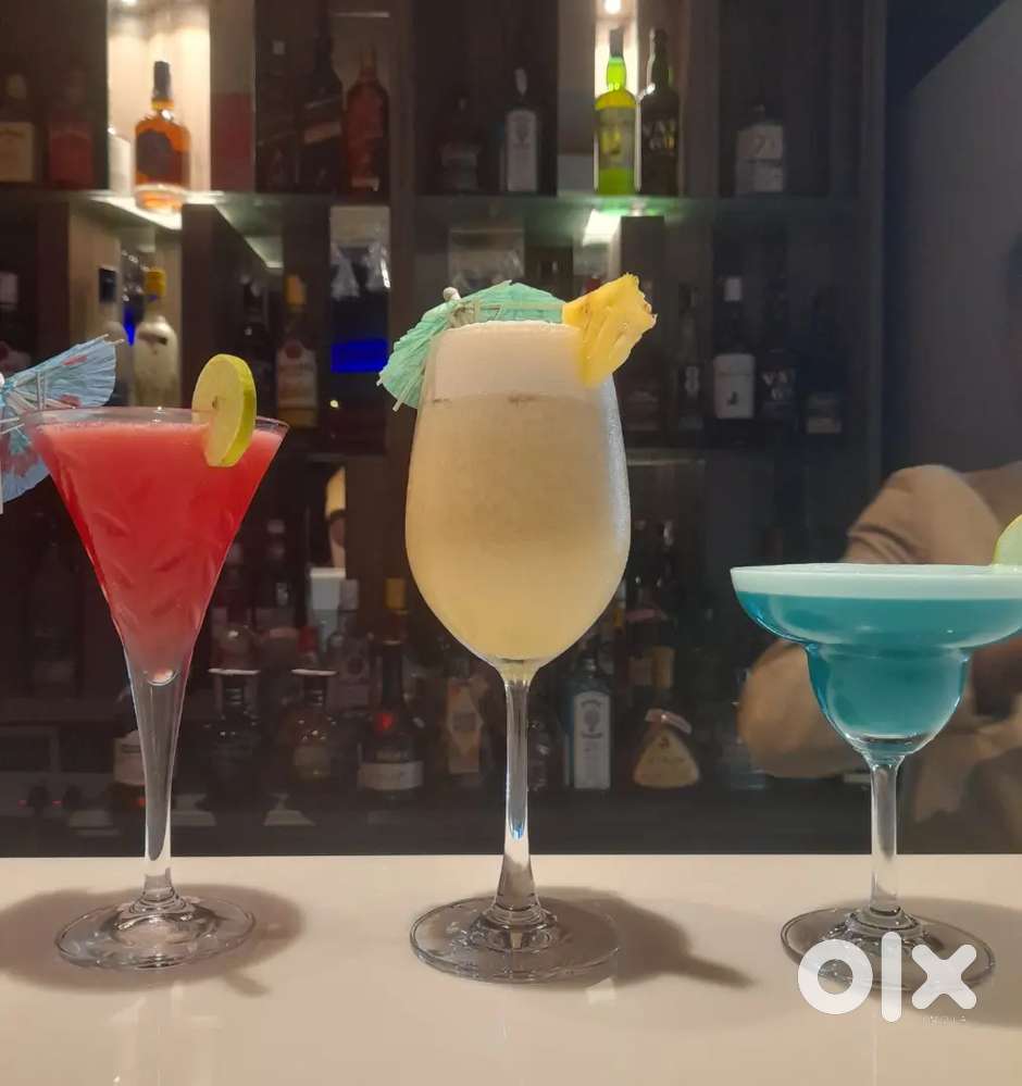 BARTENDER/MIXOLOGIST /SERVICE STAFF