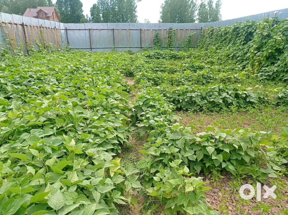 7MARLA RESIDENTIAL PLOT