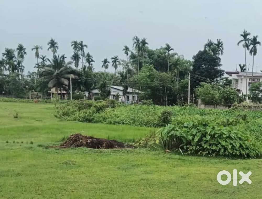 Land fore sale total 01bigha