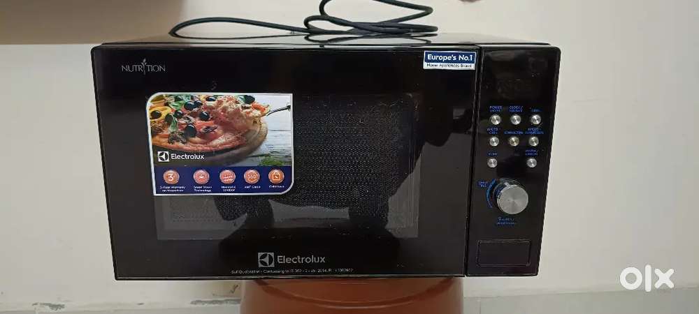 Electric oven