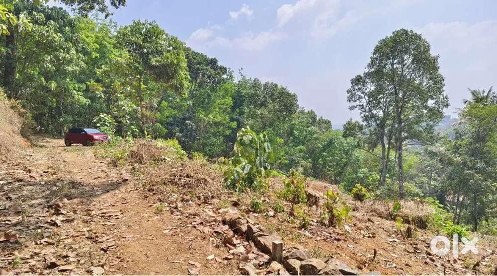 ഏറ്റുമാനൂർ ടൗൺ 45സെന്റ് സ്ഥലം  2ആധാരം(ഉടമസ്ഥൻ പുറത്തോട്ട് പോകുന്നു  )