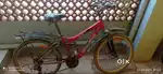 Bicycle for sale