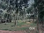 Good and peacfull area