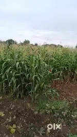 वर्ग 2 जमीन विकणे आहे.