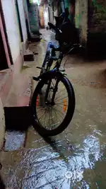 Avon waka waka