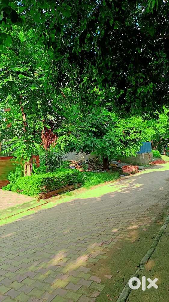 Book a plot and build your dream home  gulmohar city sector 115 kharar