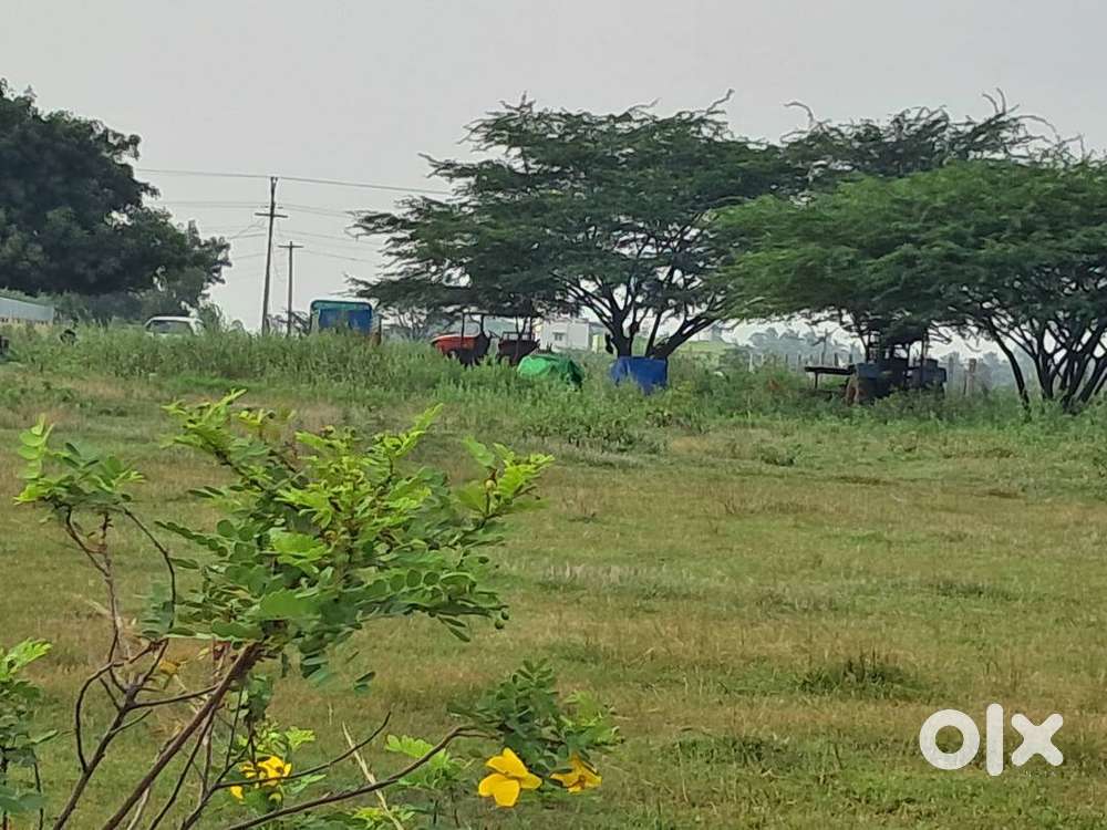 Panjappur manikandam(mattaparapatti)